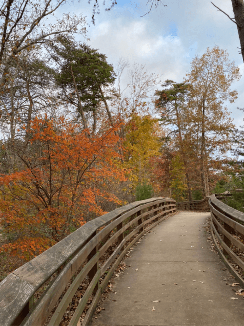 A winding wooden bridge surrounded by vibrant autumn trees in shades of orange and yellow.