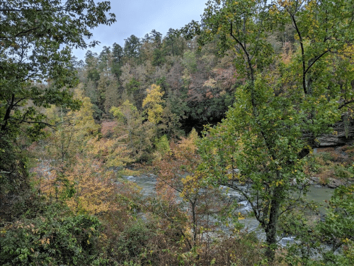 A serene river flows through a forest with vibrant autumn foliage and lush greenery under a cloudy sky.