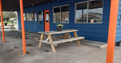 A wooden picnic table with a flower pot sits outside a blue building with large windows and an orange door.