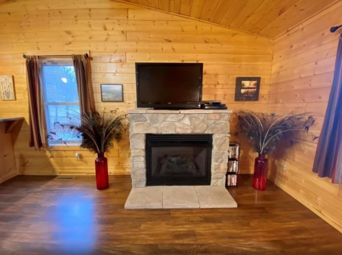 Cozy wooden living room with a stone fireplace, TV above, and decorative plants in red vases. Warm, inviting atmosphere.