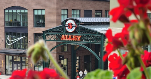 A view of a brick building with a sign reading "ALLEY," framed by vibrant red flowers in the foreground.