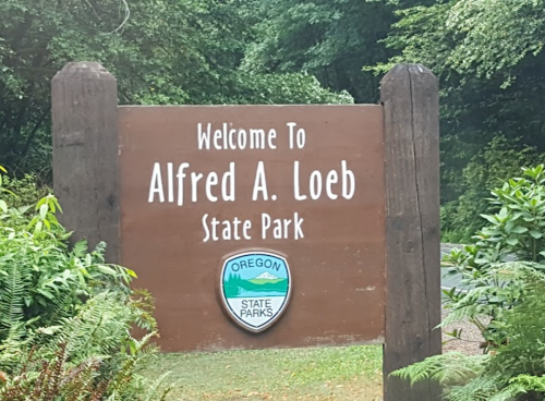 Sign welcoming visitors to Alfred A. Loeb State Park, featuring the Oregon State Parks logo and surrounded by greenery.