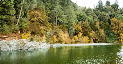 A serene river surrounded by lush trees and autumn foliage, reflecting the calm water and rocky shoreline.