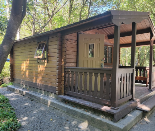 A cozy wooden cabin surrounded by trees, featuring a porch and a door with a decorative window.