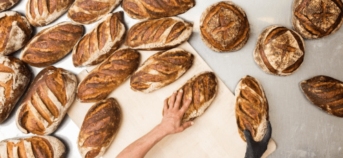A variety of freshly baked loaves of bread on a table, with a hand placing one on a cutting board.