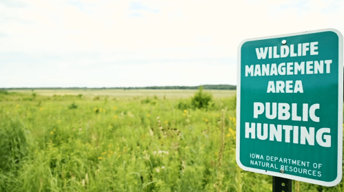 Sign for a wildlife management area indicating public hunting, surrounded by green fields and a cloudy sky.