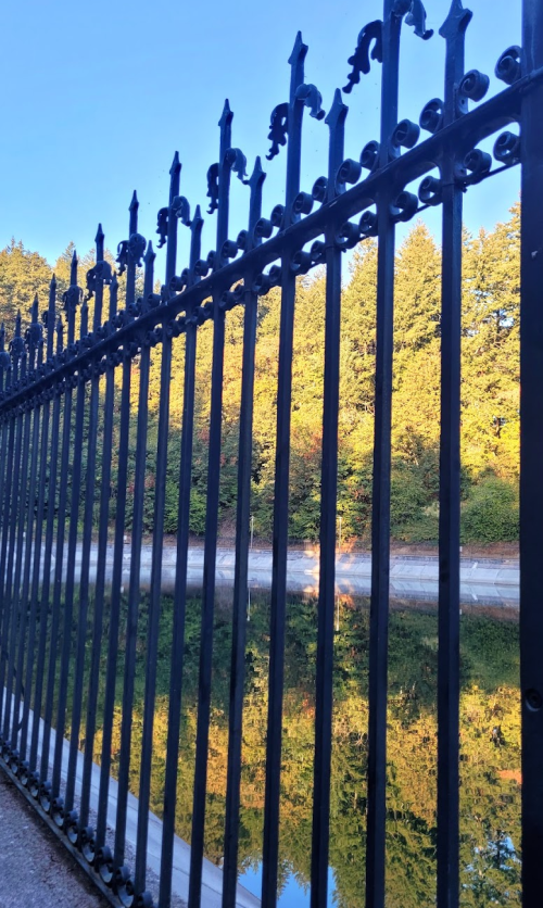 A black wrought iron fence in front of a calm lake reflecting trees and a clear blue sky.