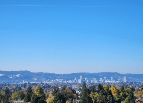 A clear blue sky over a city skyline, with green trees and hills in the foreground.