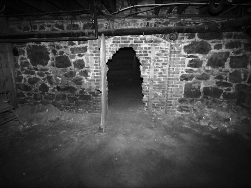 A dimly lit basement with a brick archway leading to a staircase, surrounded by stone walls and a dirt floor.