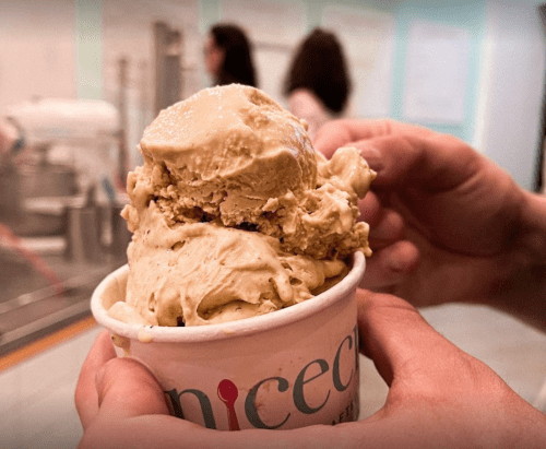 A person holds a cup filled with two scoops of creamy gelato, with a blurred background of an ice cream shop.