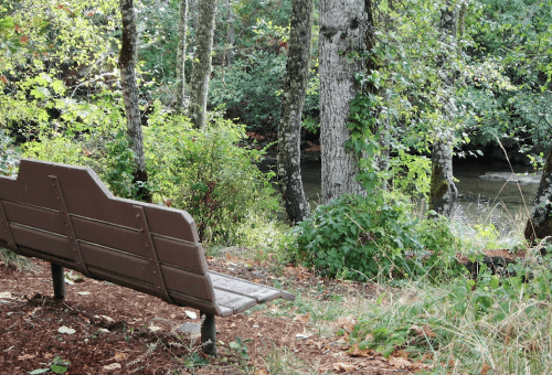 A wooden bench beside a serene stream, surrounded by trees and lush greenery.