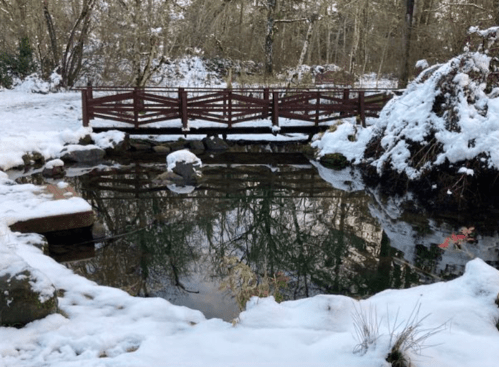 A serene winter scene featuring a wooden bridge over a pond surrounded by snow-covered rocks and trees.