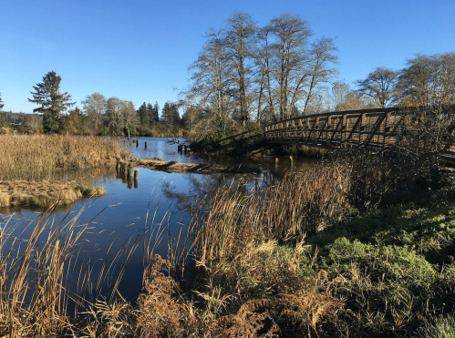 A serene landscape featuring a wooden bridge over a calm waterway, surrounded by tall grasses and trees under a clear blue sky.