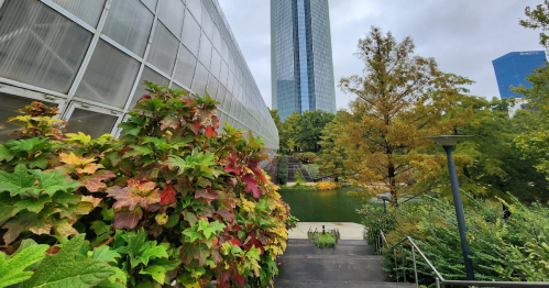 A lush garden with colorful foliage leads to a pond, framed by modern skyscrapers under a cloudy sky.