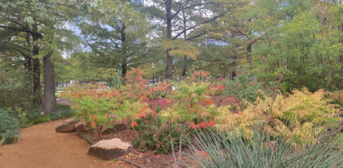 A lush garden path surrounded by vibrant greenery and colorful flowering plants under a cloudy sky.
