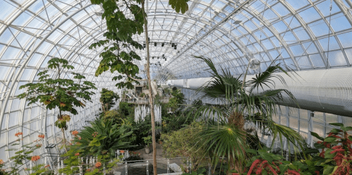 A spacious greenhouse filled with various tropical plants under a large glass dome.