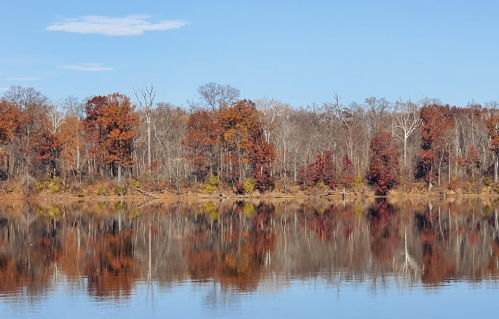 Autumn trees with vibrant foliage reflected in calm water under a clear blue sky.