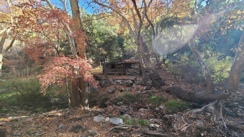 A rustic cabin nestled among colorful autumn trees in a serene forest setting.