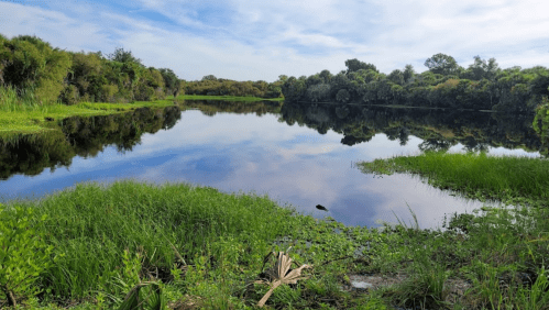 A serene lake surrounded by lush greenery and trees, reflecting the sky and vegetation on its calm surface.