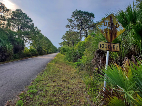 A weathered sign reading "DEAD END" and "1000 FT" beside a quiet road lined with trees and shrubs.