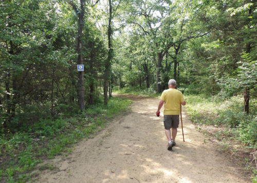 A person walks along a sandy trail in a lush green forest, holding a walking stick.