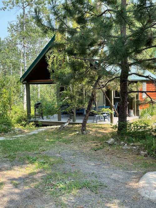A cozy cabin nestled among trees, featuring a porch and outdoor seating in a natural setting.