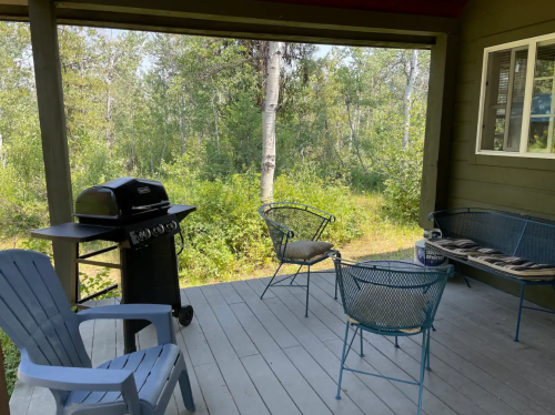 A porch with a grill and seating area, surrounded by greenery and trees in a peaceful outdoor setting.