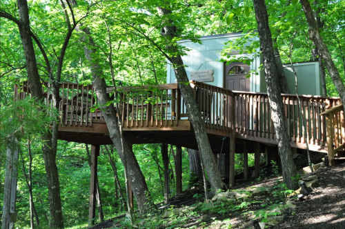 A wooden deck surrounded by lush green trees, leading to a small building in a forested area.