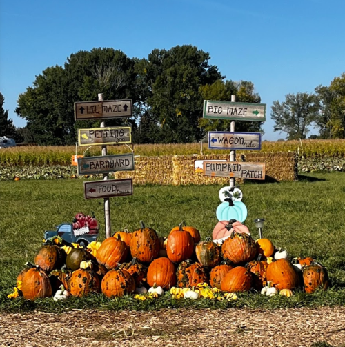 Signposts direct visitors to various attractions at a pumpkin patch, with pumpkins and gourds in the foreground.