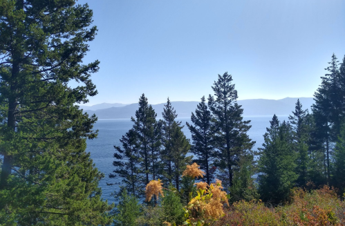 A serene view of a lake surrounded by tall trees and distant mountains under a clear blue sky.