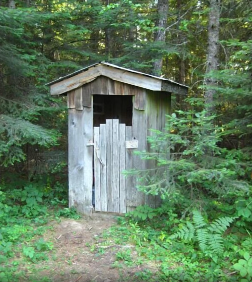 A rustic wooden outhouse surrounded by dense greenery and trees in a forested area.