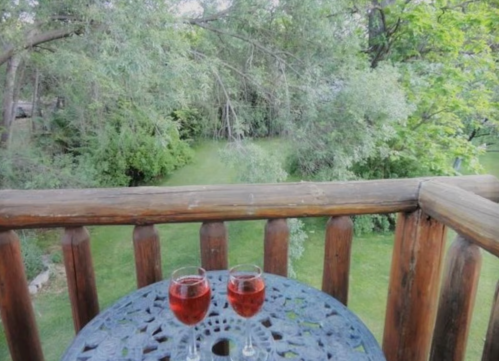 Two glasses of red drink on a table, overlooking a lush green garden from a wooden balcony.