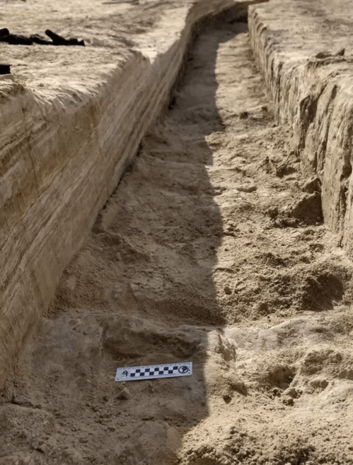 A close-up of a sandy trench with a measuring scale placed on the ground for reference.