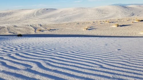 A vast expanse of white sand dunes with gentle ripples and sparse vegetation under a clear blue sky.