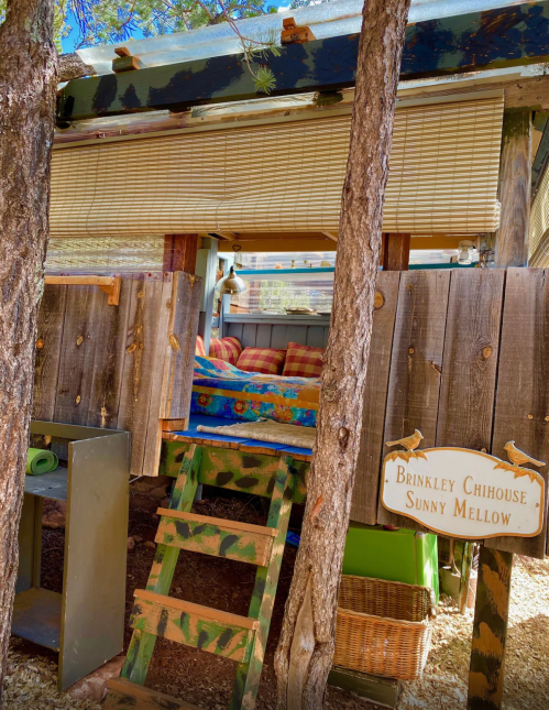 A cozy wooden structure with a colorful couch, surrounded by trees and a sign reading "Brinkley Chihouse Sunny Mellow."