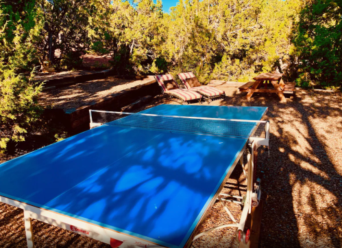 A blue ping pong table in a sunny outdoor setting, surrounded by trees and lounge chairs.