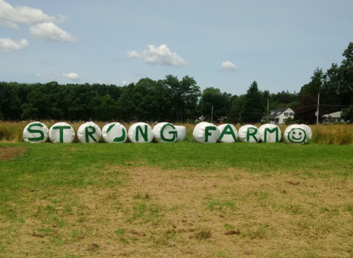 Bales of hay arranged to spell "STRONG FARM" with a smiley face, set against a green field and blue sky.