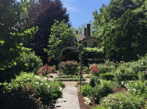 A lush garden with colorful flowers, pathways, and a charming house in the background under a clear blue sky.