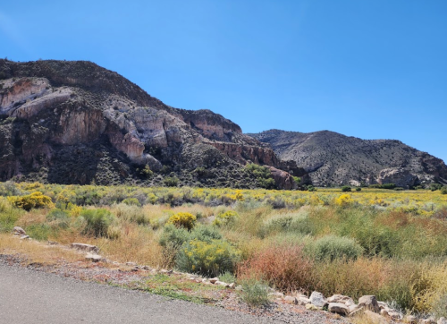 A scenic view of rolling hills and rocky cliffs, with vibrant green and yellow vegetation under a clear blue sky.