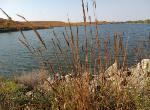 Tall grasses frame a serene lake, with gentle ripples and a backdrop of rolling hills under a clear sky.