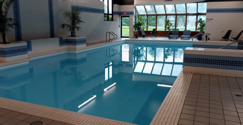 Indoor swimming pool with clear water, surrounded by windows and lounge chairs, featuring tropical plants.