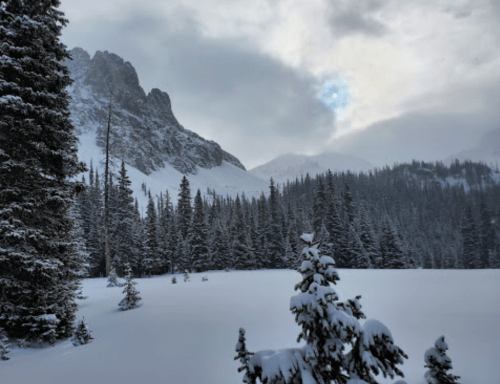 Snow-covered landscape with tall evergreen trees and rugged mountains under a cloudy sky.