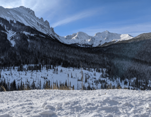 Snow-covered landscape with mountains in the background and a clear blue sky. Pine trees dot the foreground.