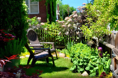 A sunny garden with a wooden chair, lush greenery, colorful flowers, and a wooden fence in the background.