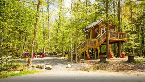 A charming red cabin on stilts surrounded by lush green trees, with a gravel area and red chairs nearby.