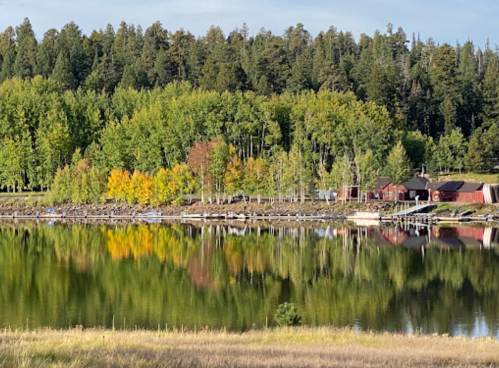 A serene lake reflects colorful trees and a rustic cabin, surrounded by lush greenery and a clear blue sky.