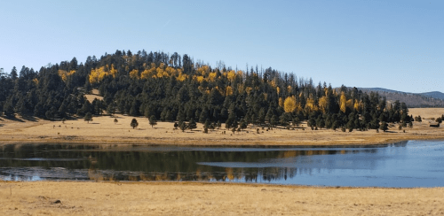 A serene landscape featuring a lake, a forested hill with autumn foliage, and clear blue skies.