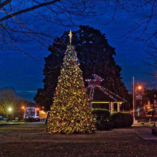 A beautifully lit Christmas tree stands in a park at dusk, with a gazebo and festive lights in the background.