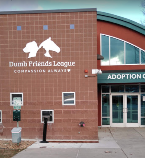 Exterior of the Dumb Friends League building, featuring a sign and entrance to the adoption center.