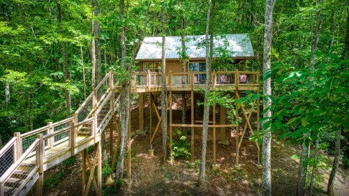 A treehouse nestled among trees, featuring a wooden deck and stairs leading up to it, surrounded by lush greenery.